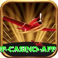4sgame VIP Casino App