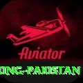 666DGame King Pakistan