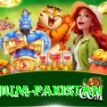 Spribewin Premium Pakistan